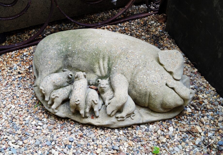 Cast Concrete Pig and Piglets Lawn Statue