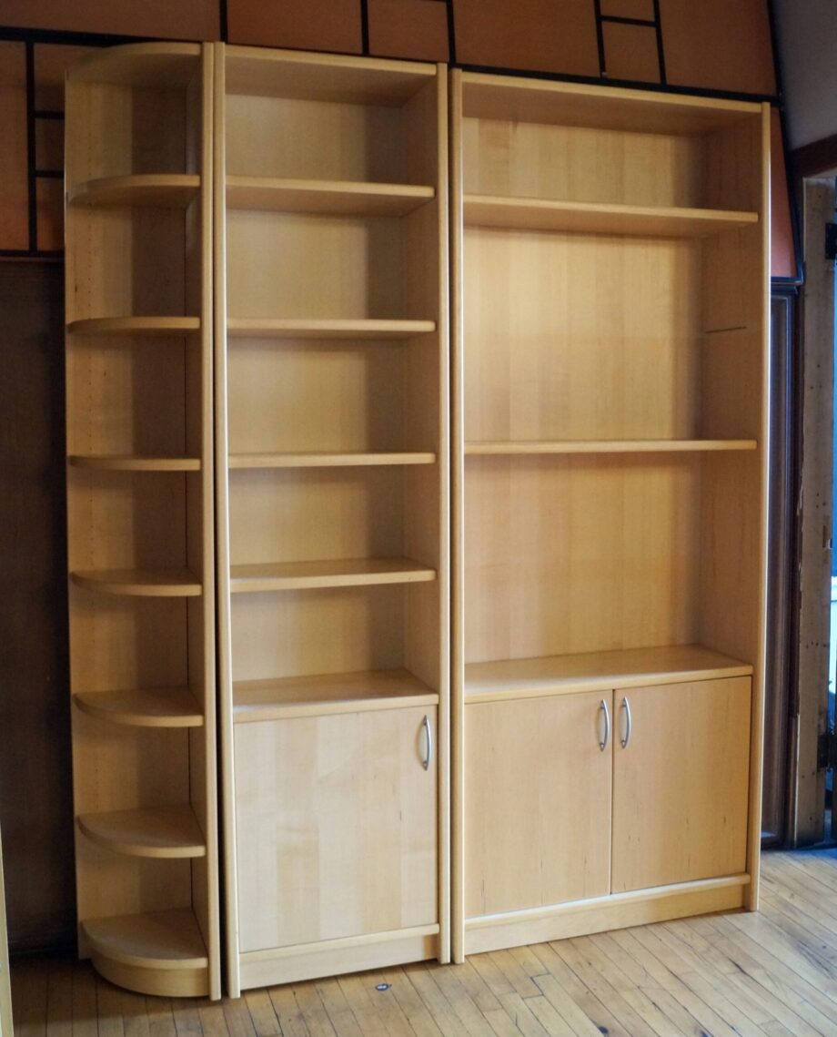 Danish Mid Century Bookcase w 2 Doors