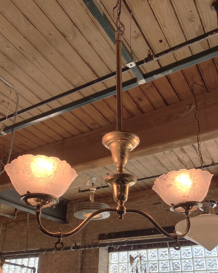 2 Light Brass Hanging Light w Bird Shades