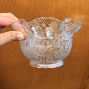 Victorian Glass Shades w Floral Detail
