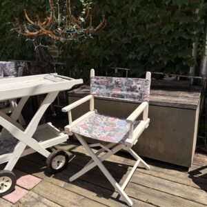 Outdoor White Wood Director Chair